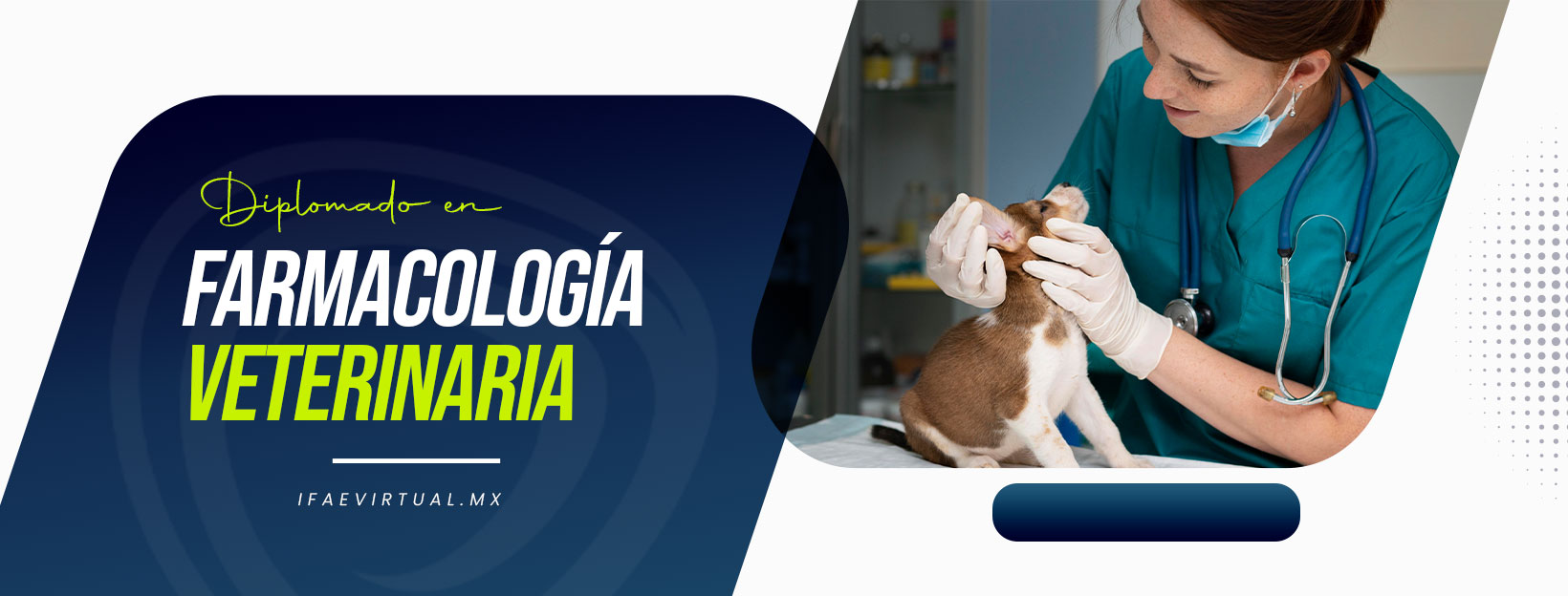 FARMACOLOGÍA VETERINARIA C2-2026