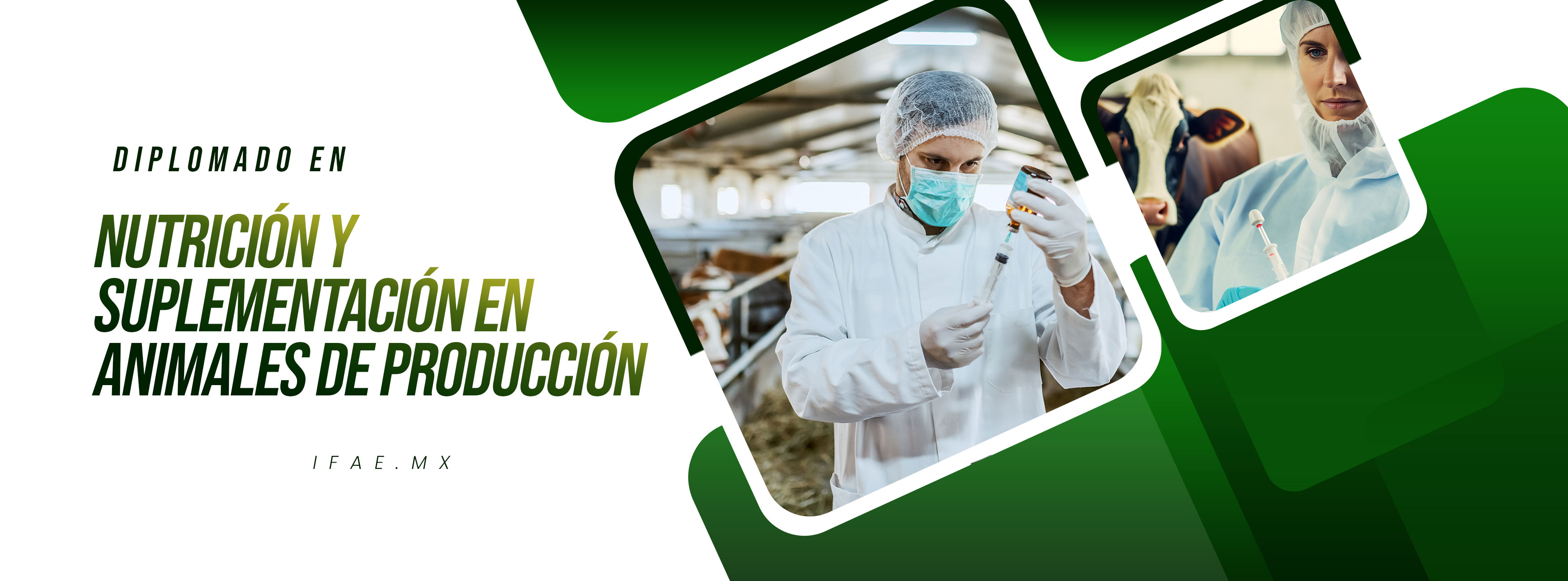 C3.- NUTRICIÓN Y SUPLEMENTACIÓN EN ANIMALES DE PRODUCCIÓN